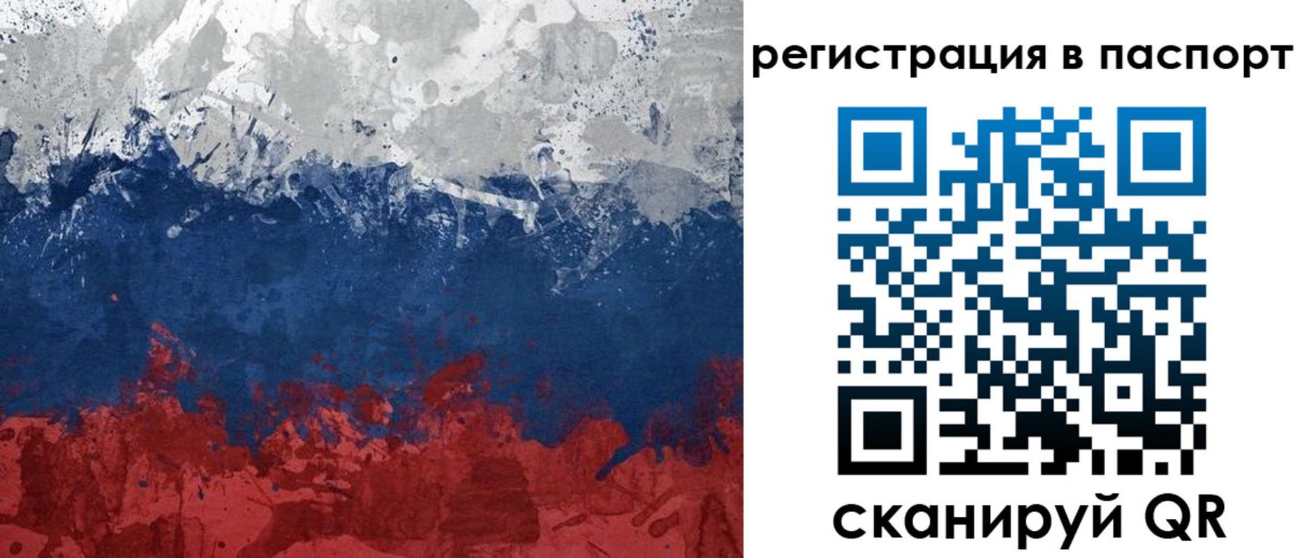 прописка гарантия в Реутове